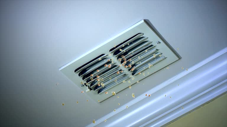 Reliable Crown Point, IN Airduct Cleaning Solutions