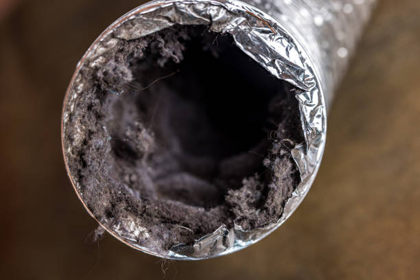 Best Air Duct Cleaning Near Me  in Crown Pot, IN