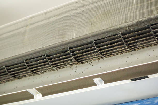 Best Air Duct Cleaning Near Me  in Crown Pot, IN