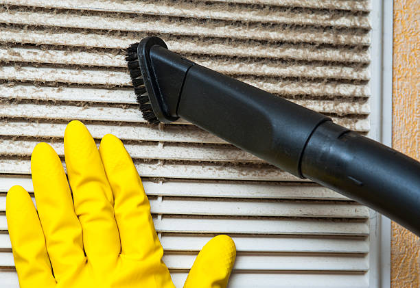 Best Ductwork Cleaning Services  in Crown Pot, IN